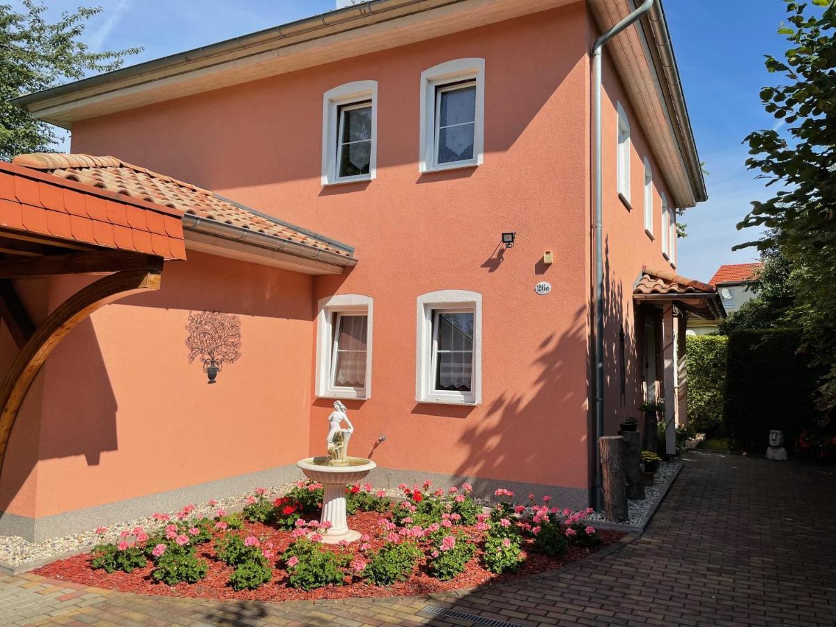 Zentrumsnahe Ferienwohnung Dresda Exterior foto