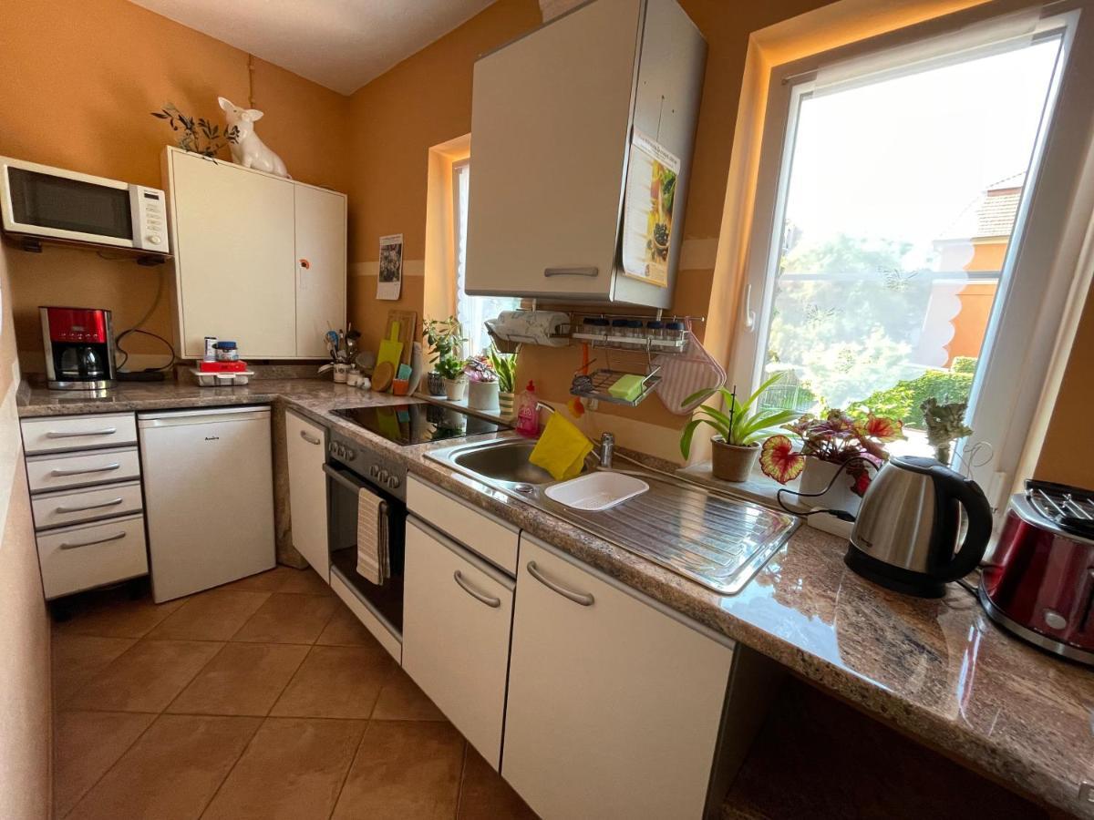 Zentrumsnahe Ferienwohnung Dresda Exterior foto