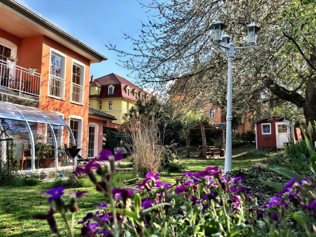 Zentrumsnahe Ferienwohnung Dresda Exterior foto